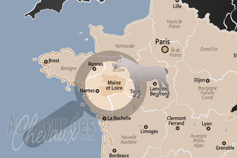 Le D�partement de Maine et Loire, l'�picentre de l'excellence et de la tradition �questre