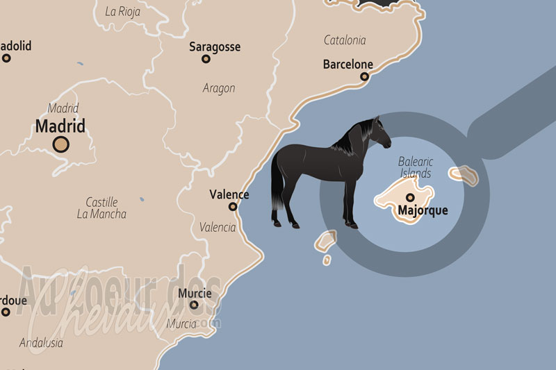 Majorque, l'�le aux traditions �questres et au trot d'�lite