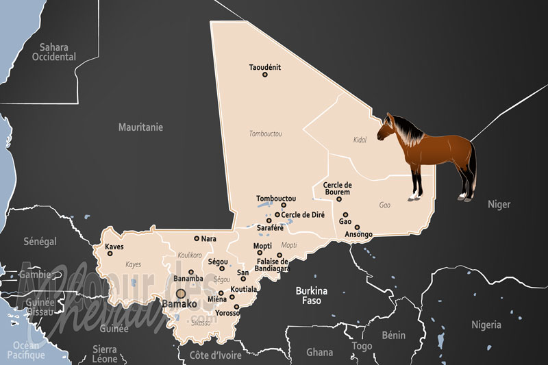 Le Mali, noble h�ritage des empires et alli� du sahel