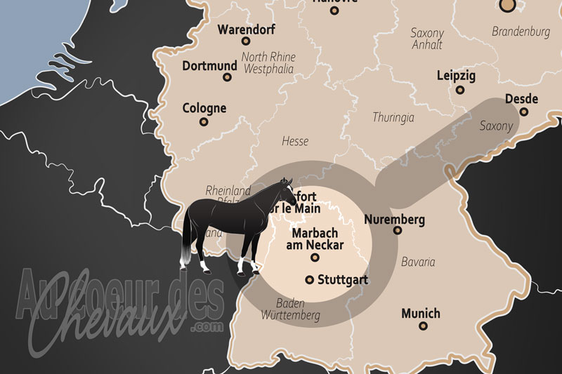 Marbach am Neckar, le sanctuaire du plus ancien haras d'�tat d'allemagne