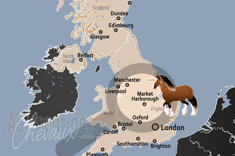 Market Harborough, �picentre de la tradition �questre et de l'innovation technique