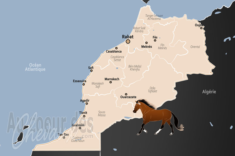 Le Maroc, un patrimoine royal et un pilier de l'identit� nationale