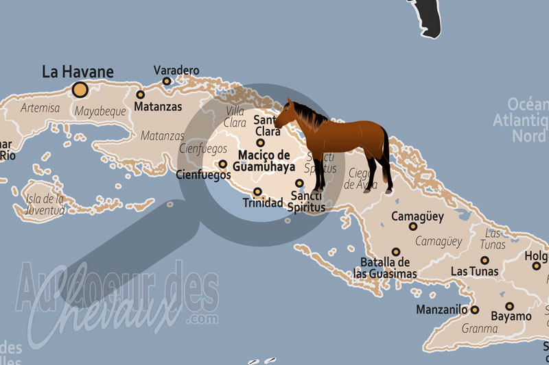 Le Massif de Guamuhaya, le galop de la libert� au c?ur des cimes cubaines