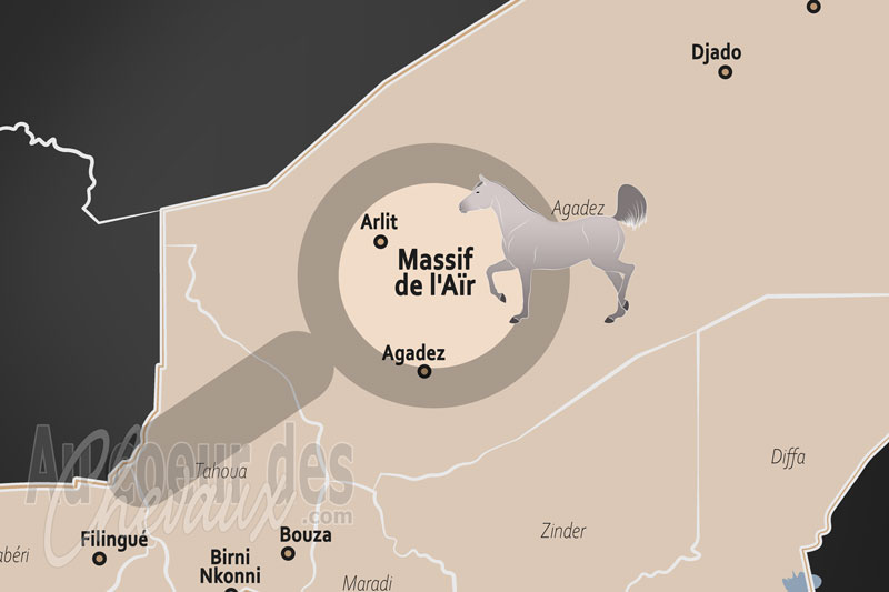 Le Massif de l'A�r, le galop de pierre au c?ur du sahara nig�rien