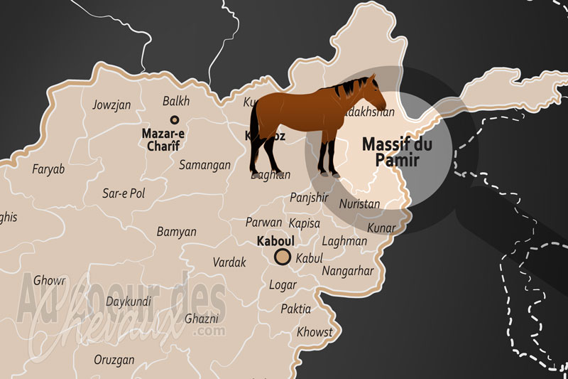 Le Massif du Pamir, l'�pop�e des crins d'acier sur le toit du monde