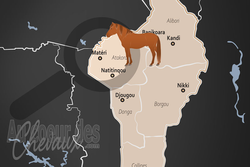 Materi, patrimoine �questre et r�le des �quid�s dans le nord-ouest du b�nin