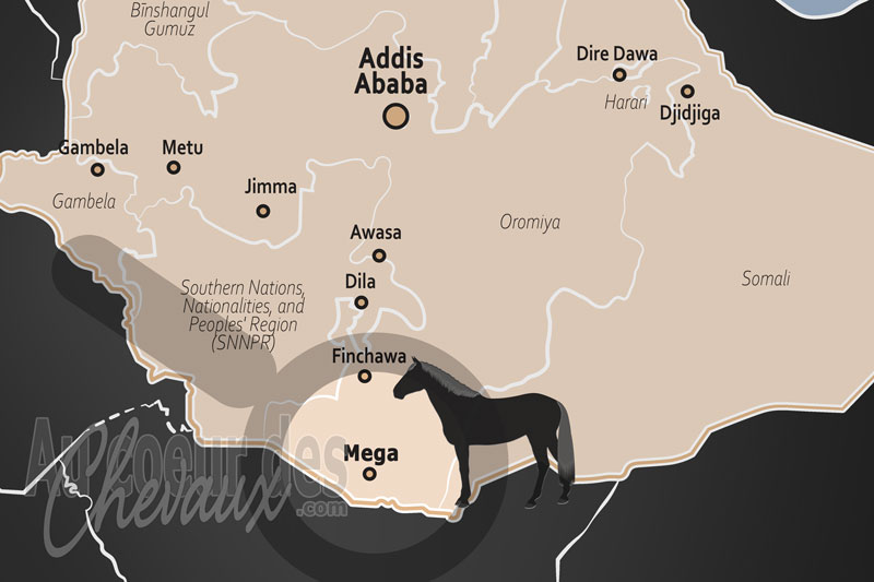 Mega, la citadelle des �quid�s sur les plateaux du pays borana