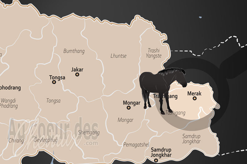 Merak, le cheval, compagnon de vie des nomades brokpa sur les hauts plateaux du bhoutan