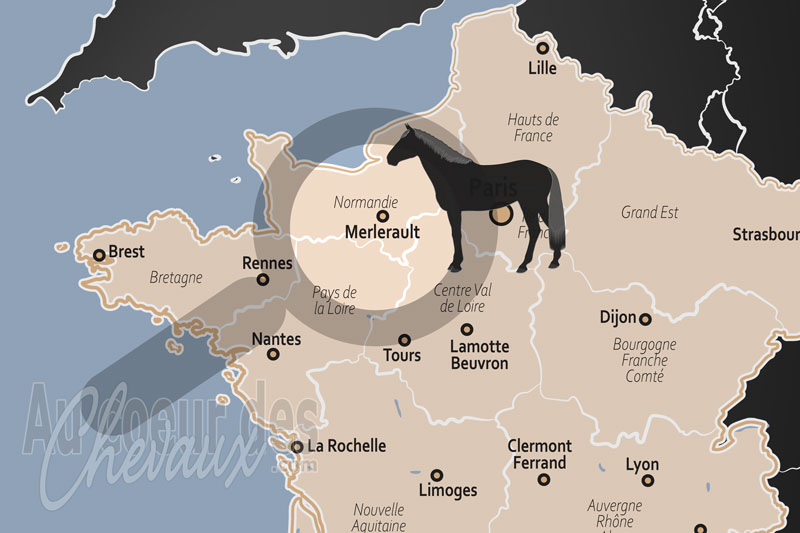La localisation du Merlerault en France