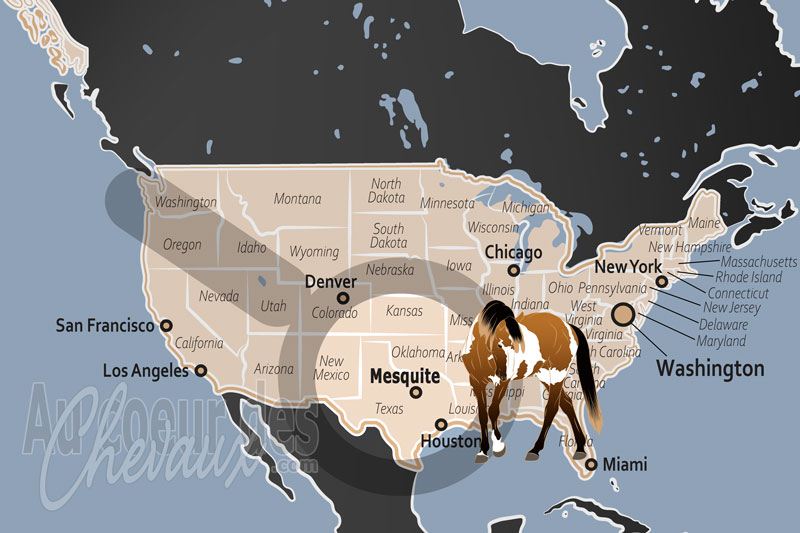 La localisation de Mesquite aux �tats Unis