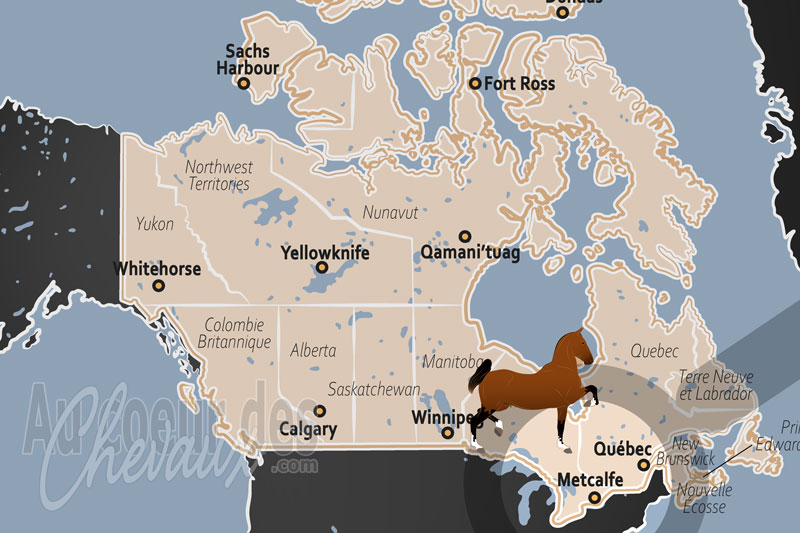 La localisation de Metcalfe au Canada