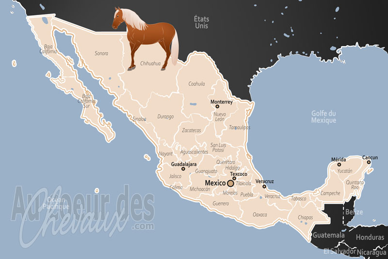Le Mexique, le cheval, de la conqu�te � la charrer�a