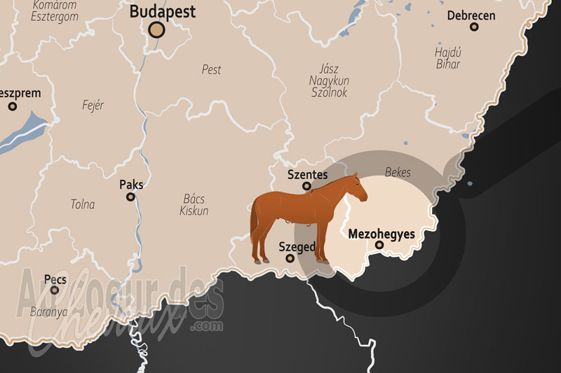 La localisation de Mezohegyes en Hongrie