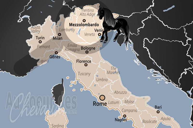 La localisation de Mezzolombardo en Italie