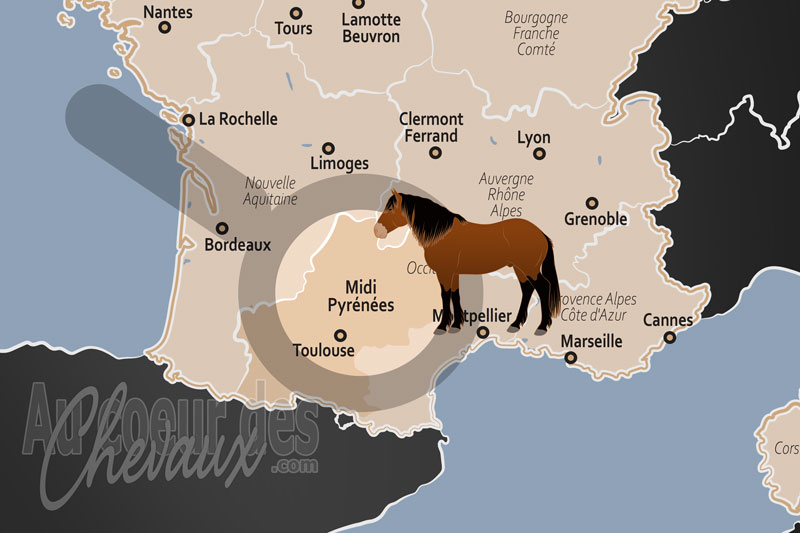 La R�gion Historique du Midi Pyr�n�es, la terre d'oc, berceau de sang et de crins noirs