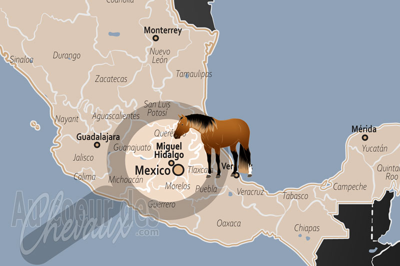 La localisation de Miguel Hidalgo au Mexique