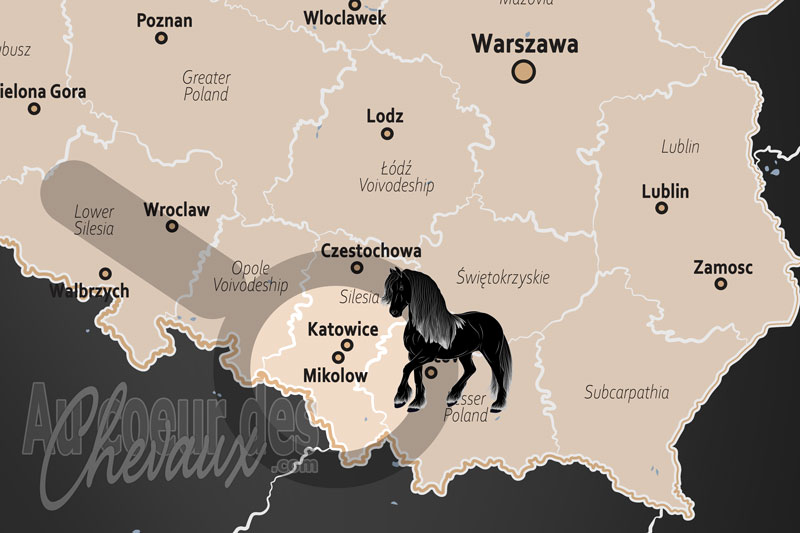 La localisation de Mikolow en Pologne