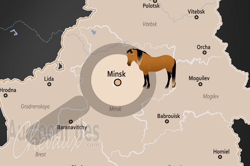 La localisation d'Minsk en Bi�lorussie