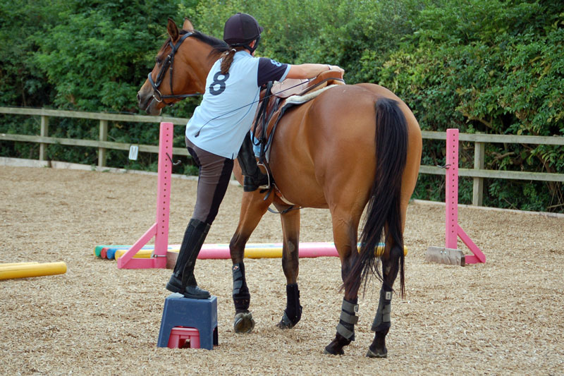 Tapis De Selle Western Confortable En Laine Pour Cheval Fz_equestrian
