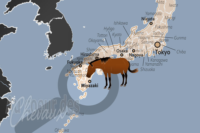 La localisation de Miyazaki au Japon