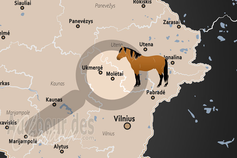 La localisation de Moletai en Lituanie