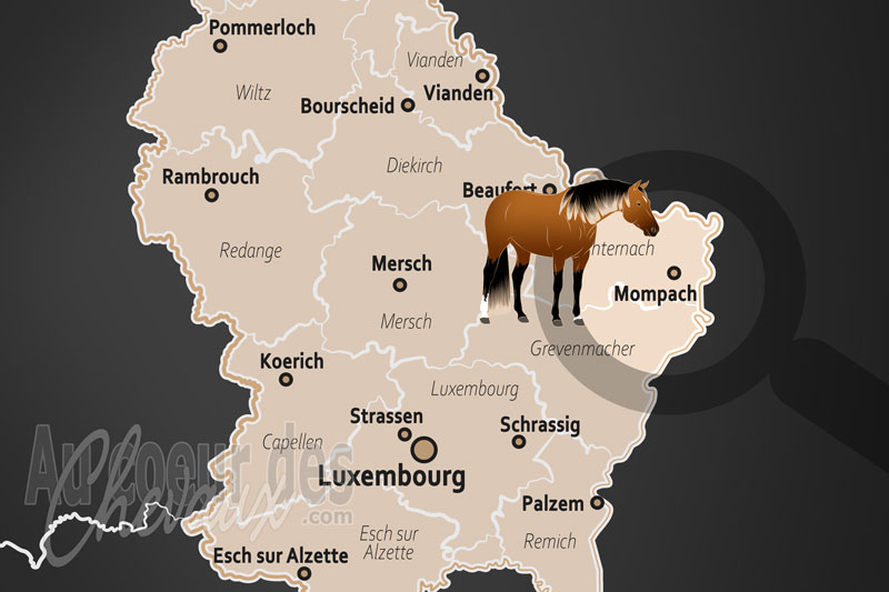 La localisation de Mompach au Luxembourg