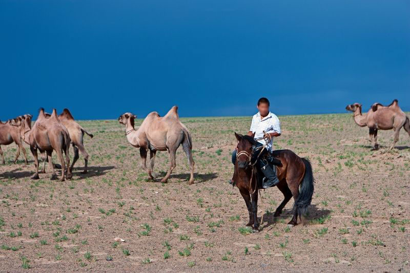 Une vue du Cheval Mongol avec un cavalier sur son dos