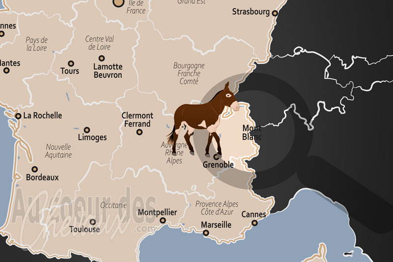 La localisation du Mont Blanc en France