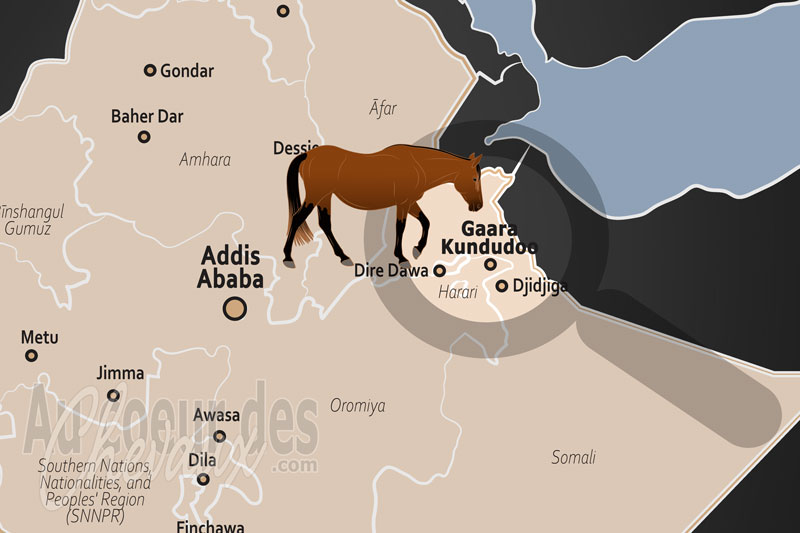 La localisation du Mont Kundudo en �thiopie
