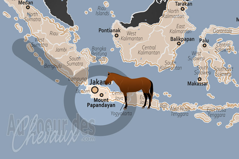 La localisation du Mont Papandayan en Indon�sie