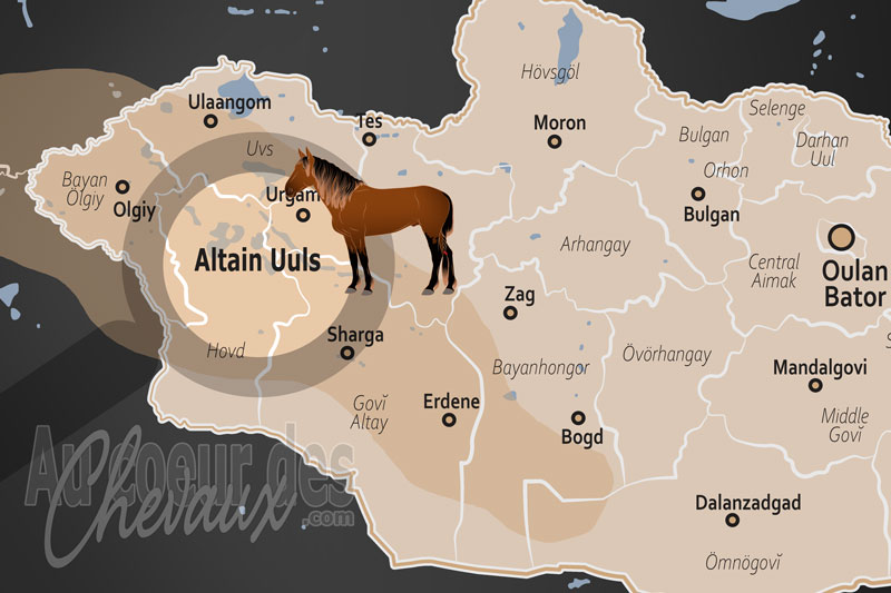 Les Montagnes de l'Alta�, le galop sacr� au sommet des montagnes d'or