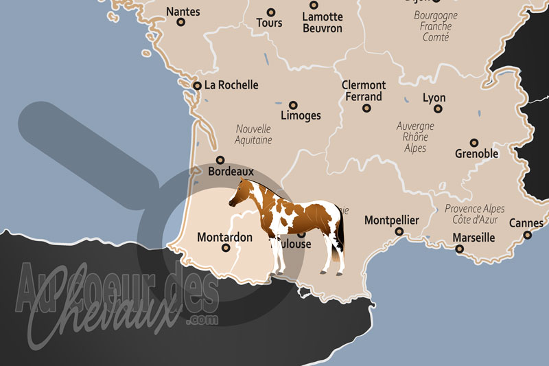 La localisation de Montardon en France