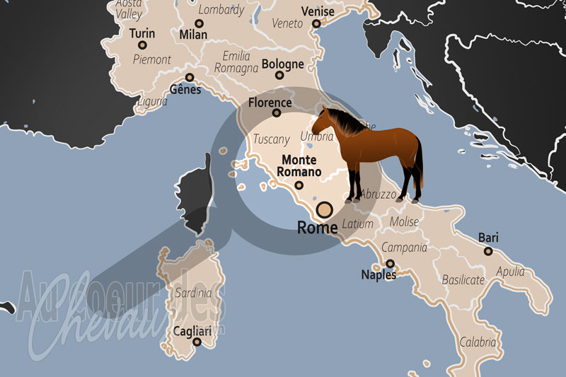 La localisation de Monte Romano en Italie