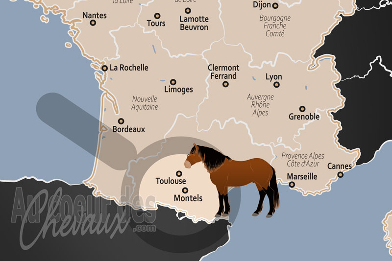 La localisation de Montels en France