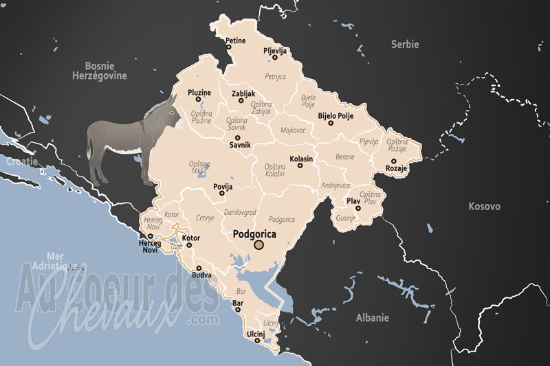 La carte g�ographique du Mont�n�gro