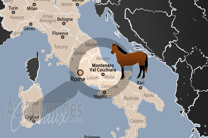 La localisation de Montenero Val Cocchiara en Italie