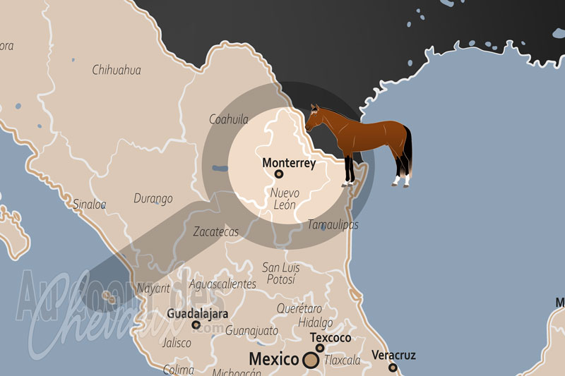 La localisation de Monterrey au Mexique