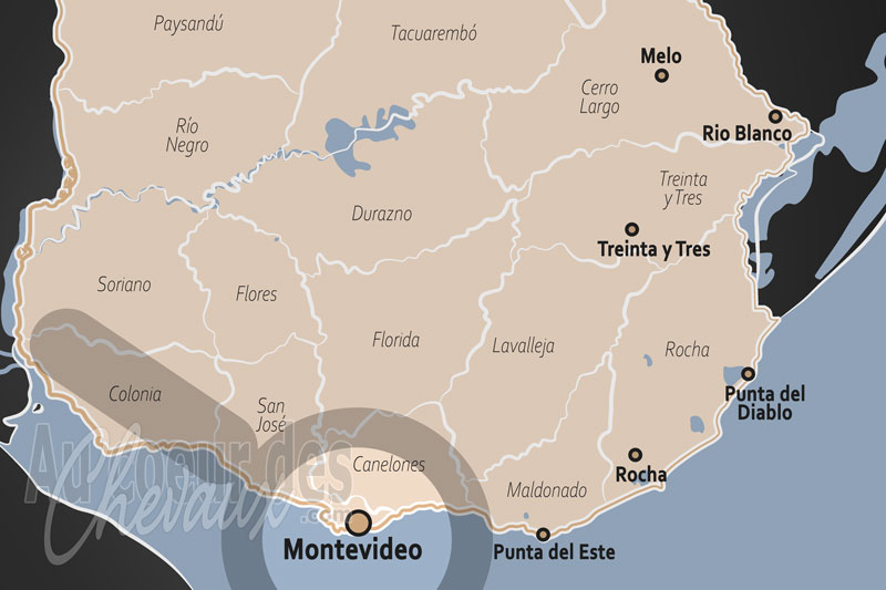 Mont�vid�o, la capitale du cheval, entre tradition gaucha et prestige hippique