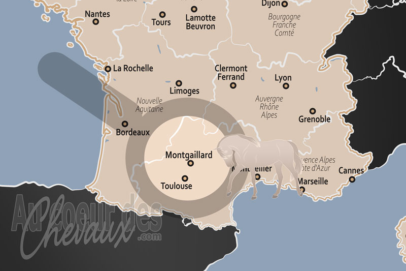 La localisation de Montgaillard en France
