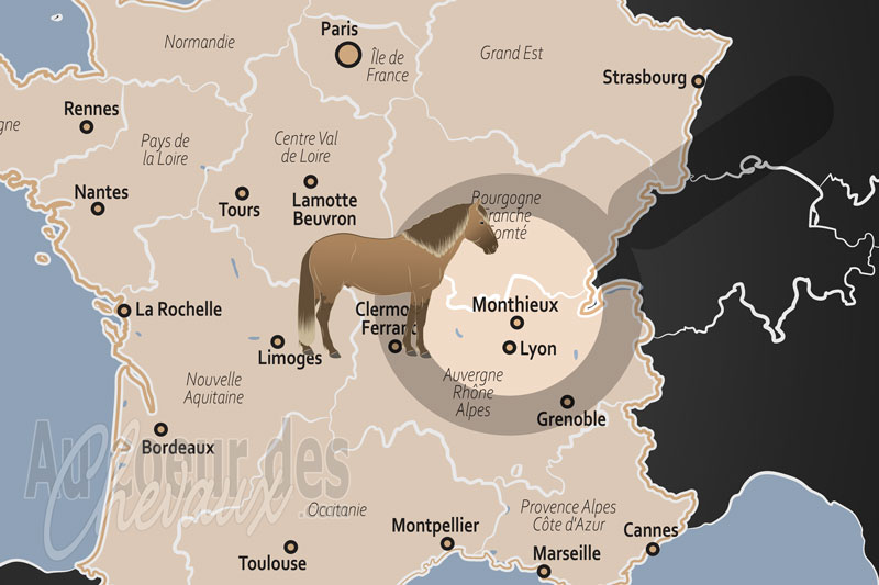 La localisation de Monthieux en France