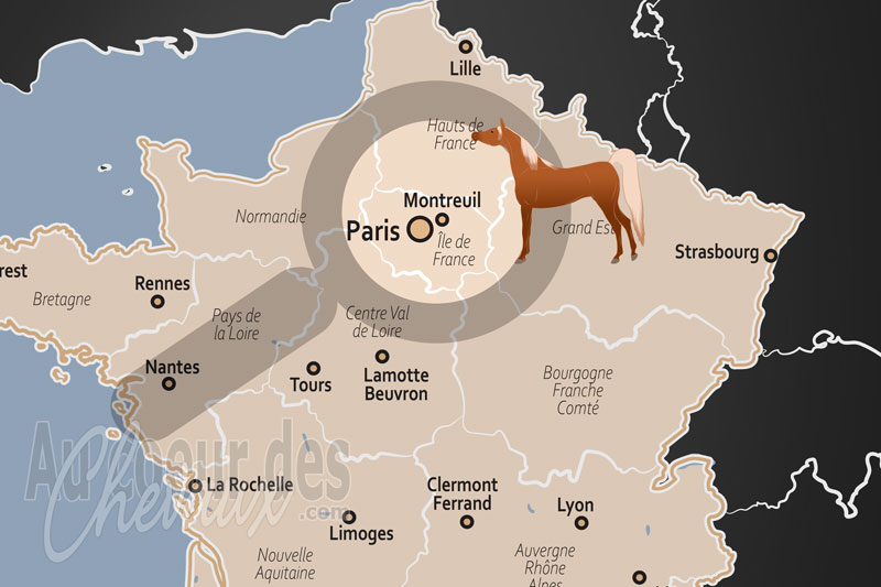 La localisation de Montreuil en France