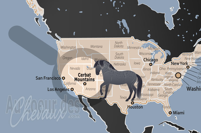 Les Monts de Cerbat, le sanctuaire de sang espagnol au c?ur de l'arizona