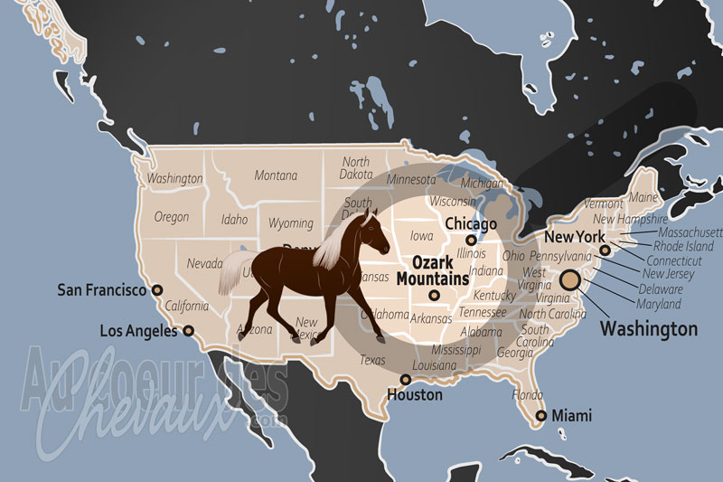 La localisation des Monts Ozarks aux �tats Unis