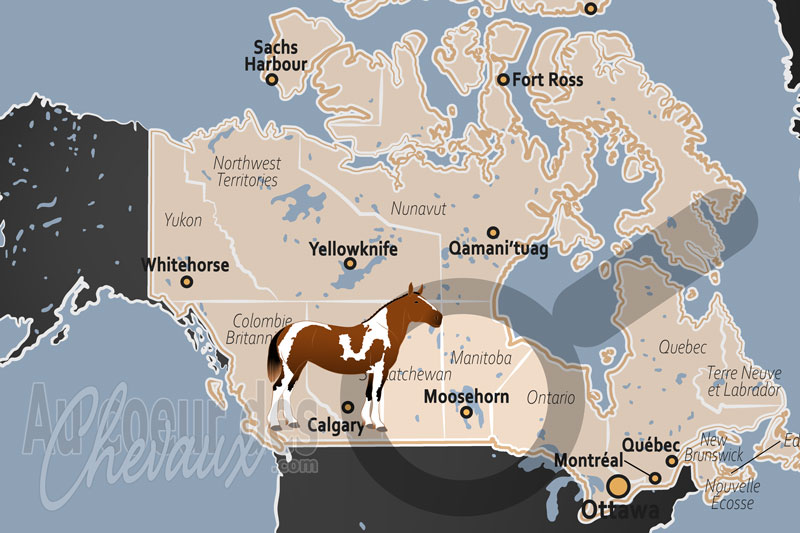 La localisation de Moosehorn au Canada