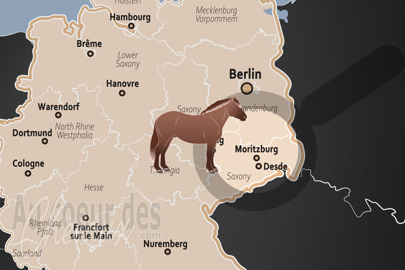 La localisation de Moritzburg en Allemagne