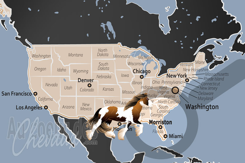 La localisation de Morriston aux �tats Unis