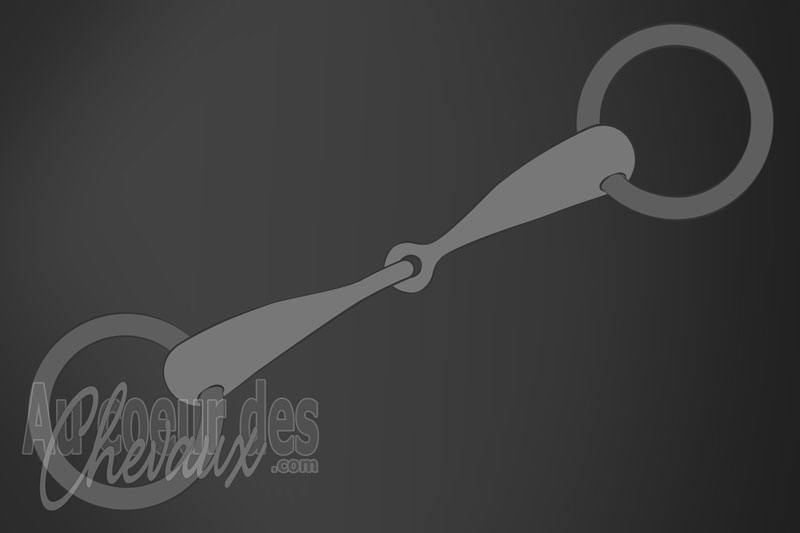 Un mors d'�quitation avec un canon en acier inoxydable