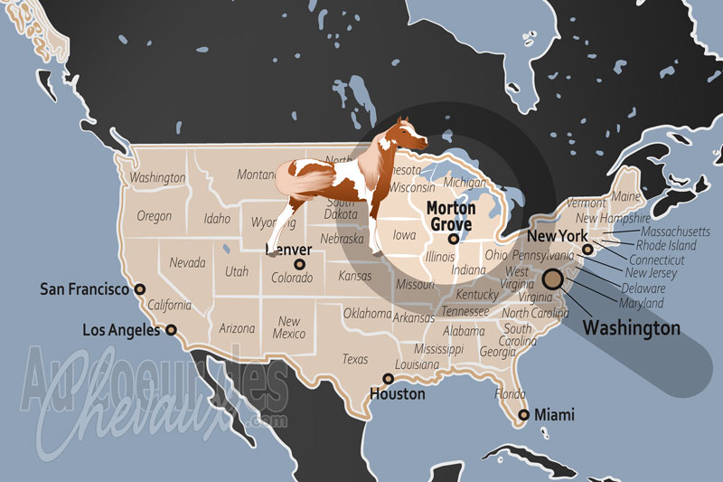 La localisation de Morton Grove aux �tats Unis