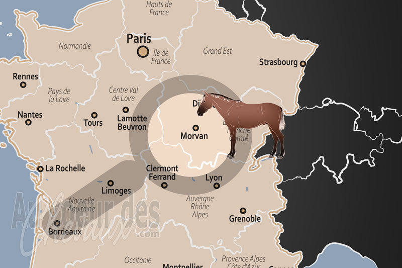 La localisation du Morvan en France