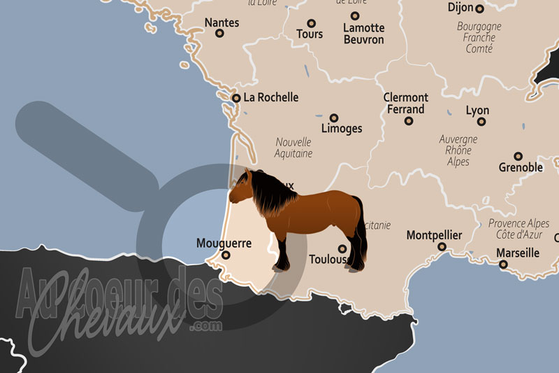 La localisation de Mouguerre en France